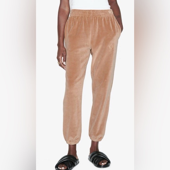 Anine Bing Pants - Anine Bing Sport Women’s Evan Velour Jogger Pants L NWT $149